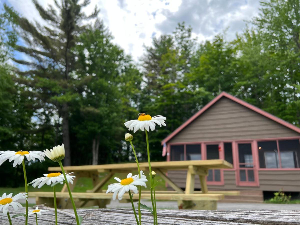 Отель Adirondack Lake Cabins Indian Lake Экстерьер фото